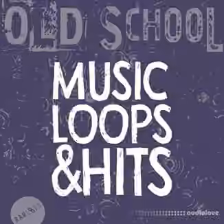 Raw Loops Old School MusicLoops and Hits [WAV]