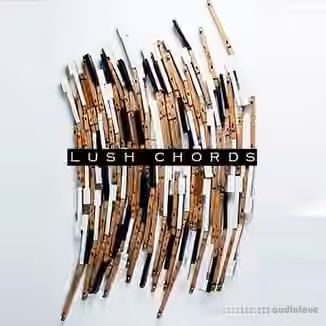 RawNois3 Lush Chords Sample Collection with Stems [WAV]