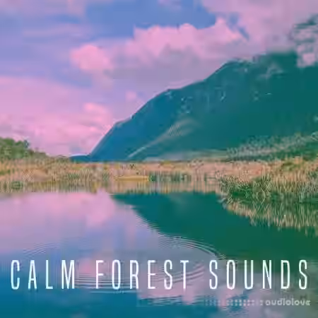 Rest and Relax Nature Sounds Calm Forest Sounds [FLAC]