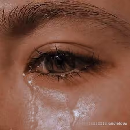 Robin Cause Melancholic Days [WAV]