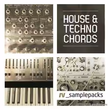 RV Samplepacks House and Techno Chords [MULTiFORMAT]