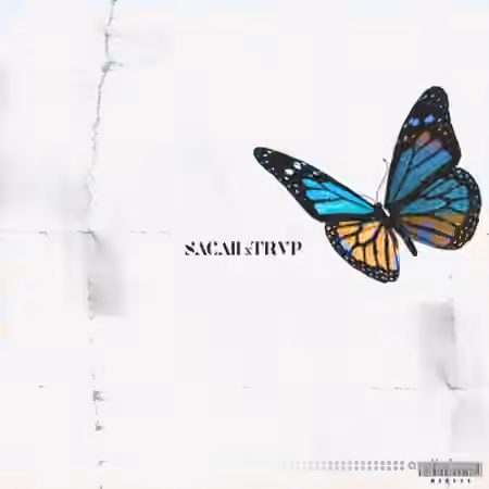 Sacaii x Trvpyyy LIL SACHI n TRVP [WAV]