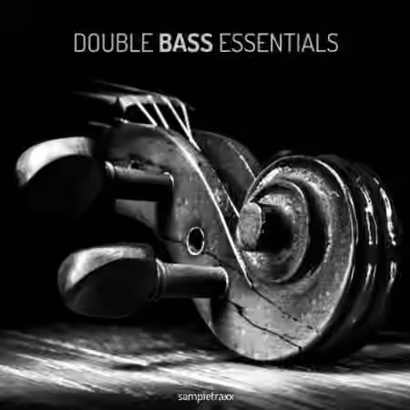 SampleTraxx Double Bass Essentials [KONTAKT, WAV]