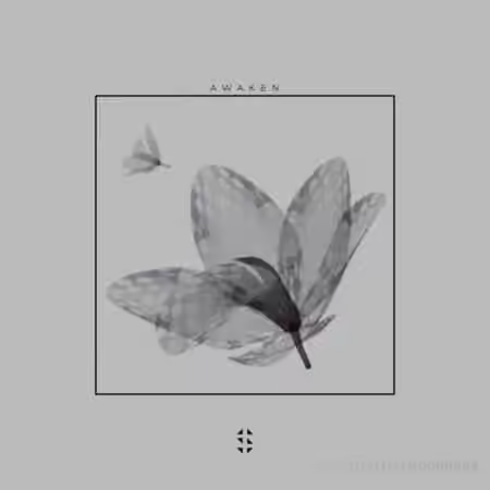Samplified Awaken Sample Pack [WAV, MiDi]