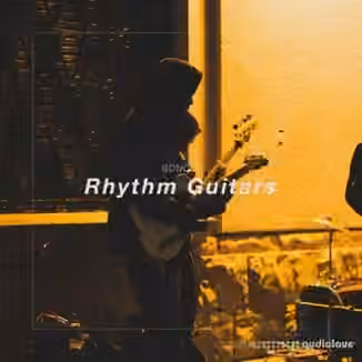 SONOIZ Rhythm Guitars [WAV]