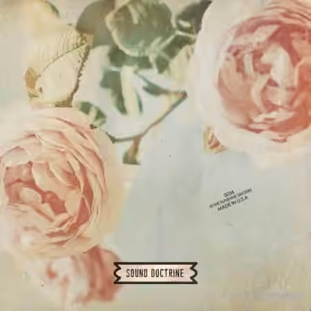 Sound Doctrine The Sunshine Singers [WAV]