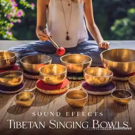 Sound Effects Zone Sound Effects Tibetan Singing Bowls for Meditation [WAV, FLAC]