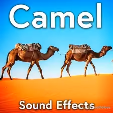 Sound Ideas Camel Sound Effects [FLAC]
