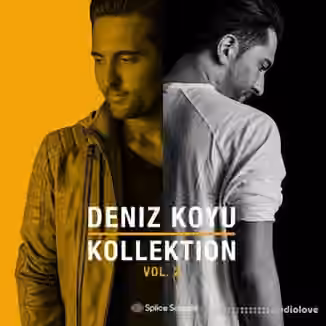 Splice Sounds DENIZ KOYU Kollektion Vol.2 [WAV]
