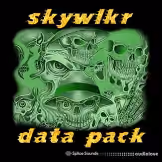 Splice Sounds skywlkr data pack [WAV]