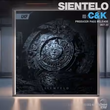 Surgical Sounds Sientelo Recreation Kit [WAV, MiDi, Synth Presets]