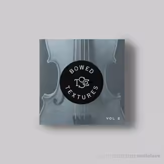 The Sample Company Bowed Textures Vol.2 v1.1.4 [Synth Presets]