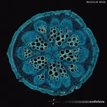 Touch Loops Molecular Noise [WAV]