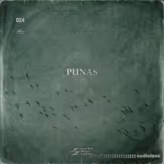 UNKWN Sounds Punas Vol.1 (Compositions and Stems) [WAV]