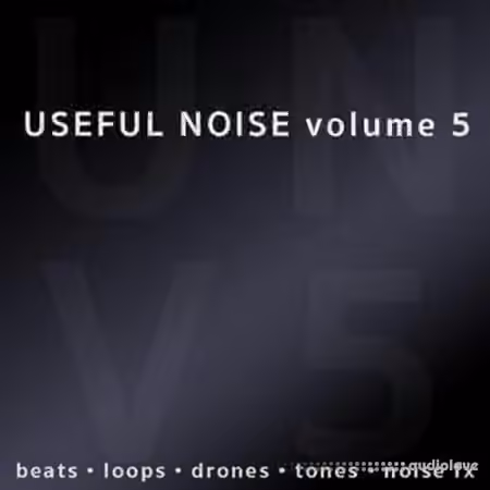 Useful Noise Useful Noise volume 5 [MULTiFORMAT]