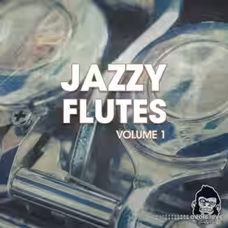 Vanilla Groove Studios Jazzy Flutes Vol 1 [WAV]