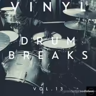 Vinyl Zen Vinyl Drum Breaks Vol.13 (22 Drum Breaks Perfectly Looped) [WAV]