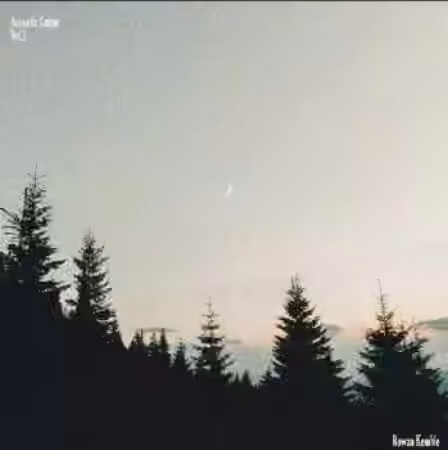 WAVS Rowan Kemble Acoustic Guitar Vol.1 [WAV]