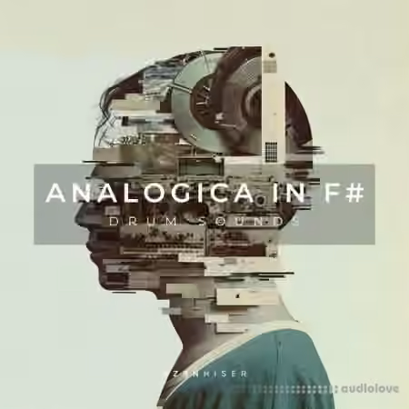 Zenhiser Analogica In F# [WAV]